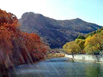 新澳天天开奖资料大全旅游团，液碱